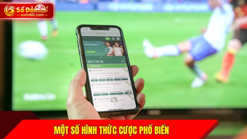 Một số hình thức cược phổ biến