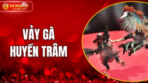 Vảy gà huyền trâm