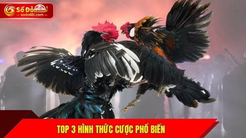 Top 3 hình thức cược phổ biến