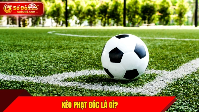 Kèo phạt góc là gì?