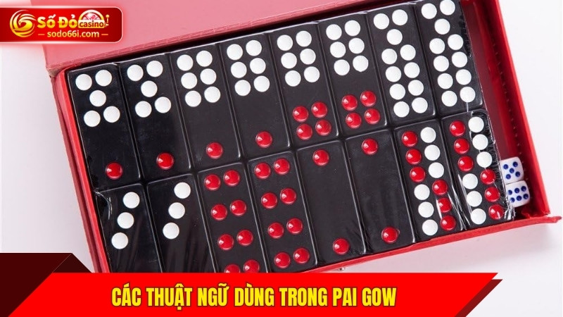 Các thuật ngữ dùng trong Pai Gow