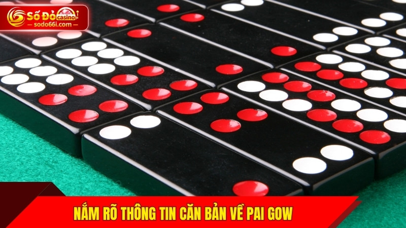 Nắm rõ thông tin căn bản về Pai Gow