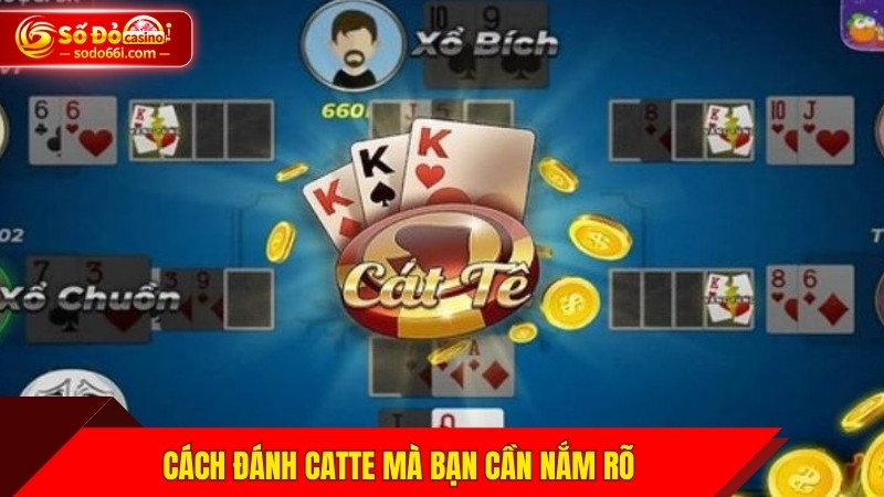 Cách đánh Catte mà bạn cần nắm rõ