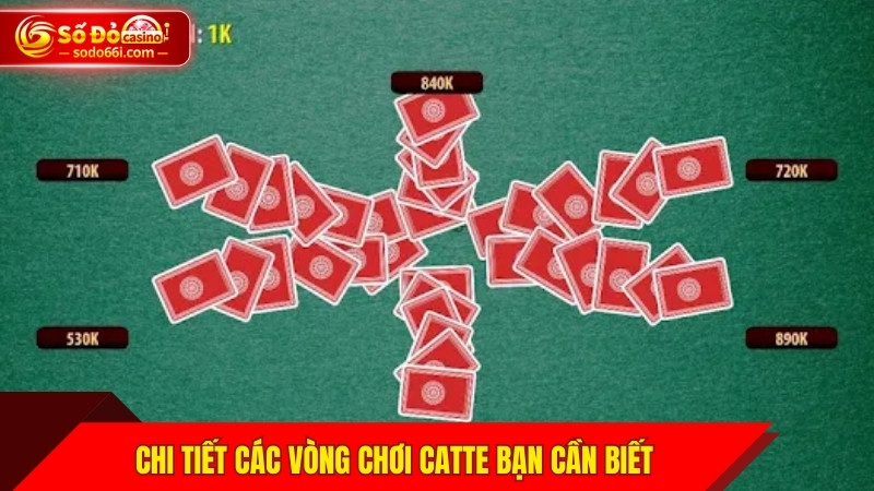 Chi tiết các vòng chơi Catte bạn cần biết