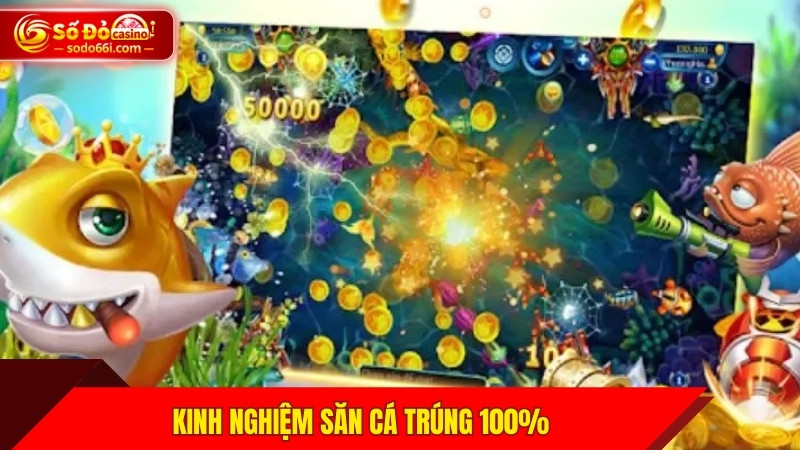 Kinh nghiệm săn cá trúng 100%