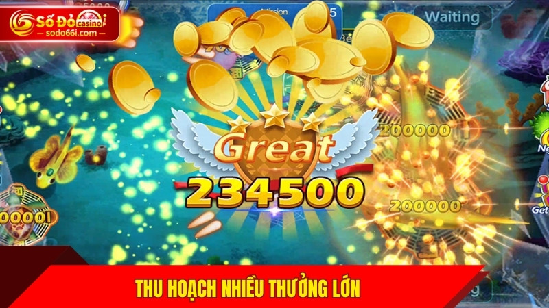 Thu hoạch nhiều thưởng lớn